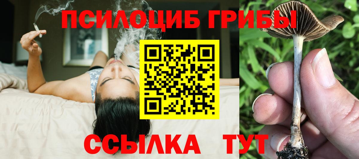 Псилоцибиновые грибы мицелий  Вход с VPN  Когалым  Галлюциногенные грибы ЛСД 
